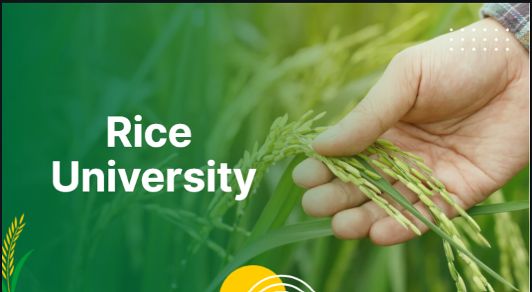 rice university
