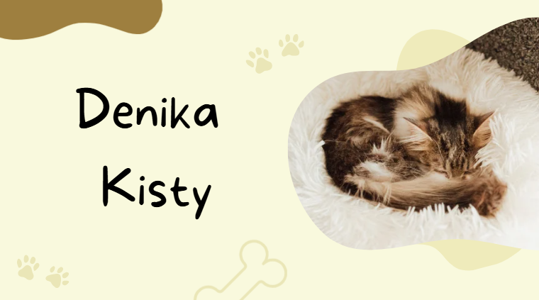 Denika Kisty Denika Kisty